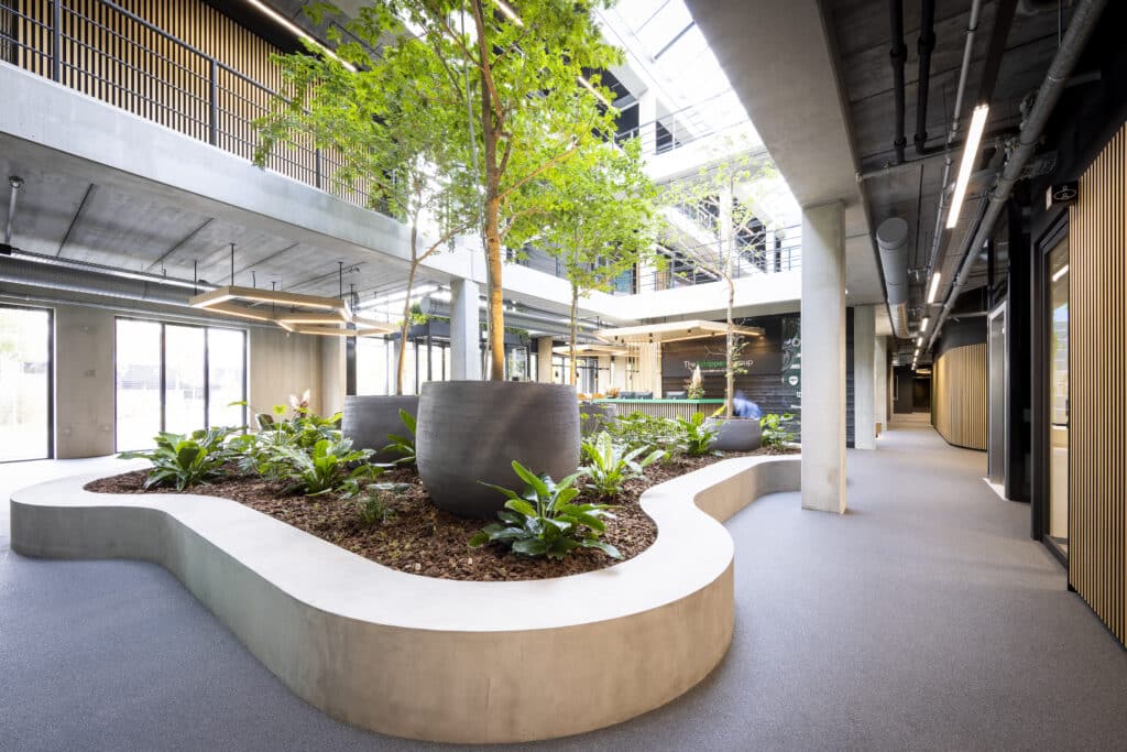 Kantoorplanten ontworpen door Bloei Interieurbeplanting.