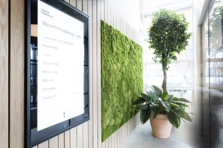 Diensten van Bloei Interieurbeplanting.