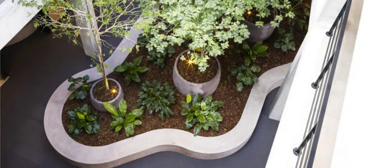 Bloei Interieurbeplanting - kantoorbeplanting