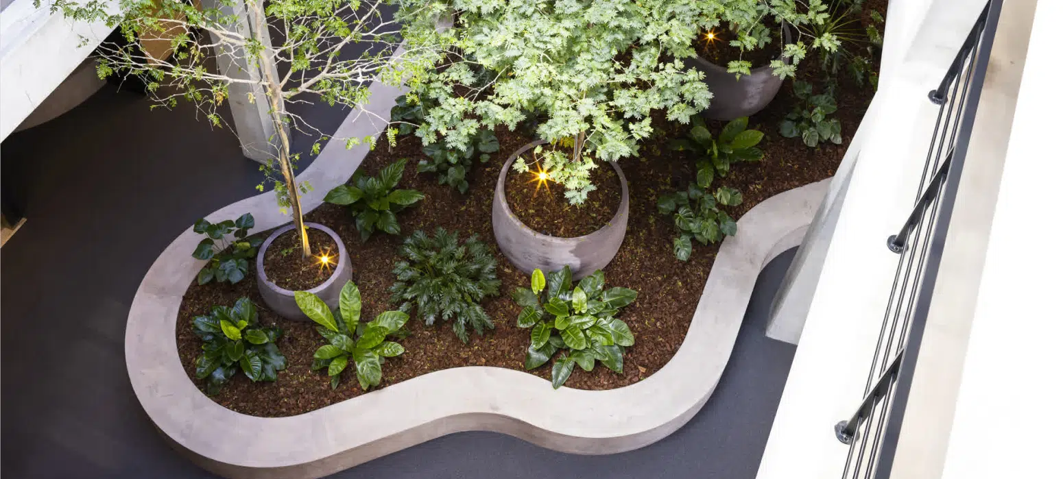 Bloei Interieurbeplanting - kantoorbeplanting