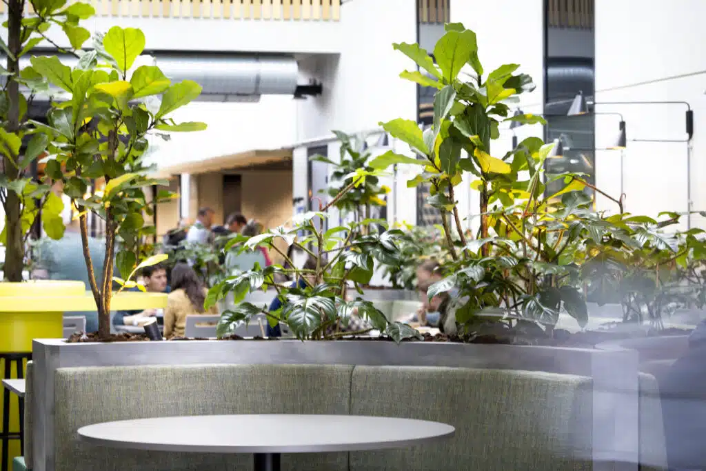 Interieurbeplanting ontworpen door Bloei.