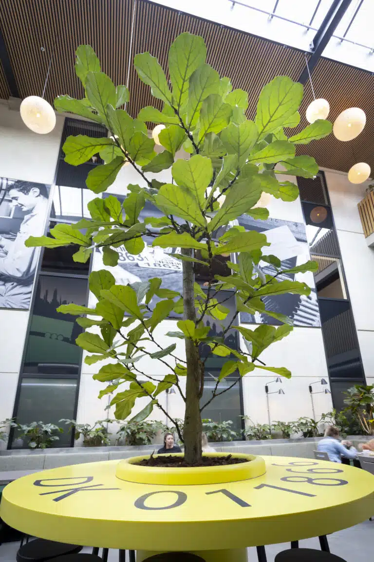 Interieurbeplanting door Bloei.