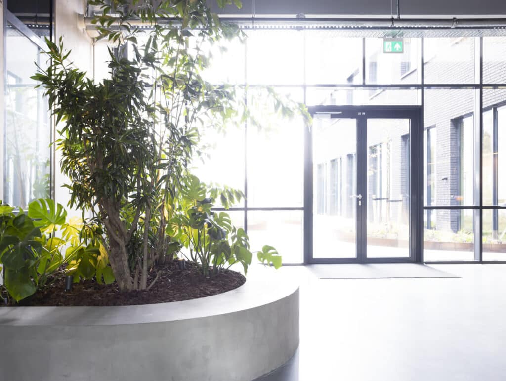 Kantoor planten bij MS Schipper door Bloei Interieurbeplanting.