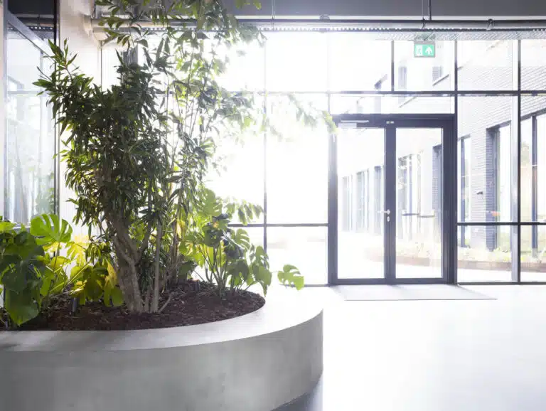 Kantoor planten bij MS Schipper door Bloei Interieurbeplanting.