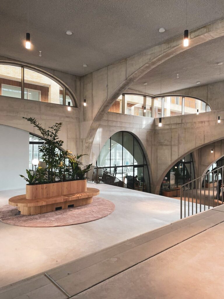 Kantoorbeplanting bij Westbeat Amsterdam door Bloei Interieurbeplanting.