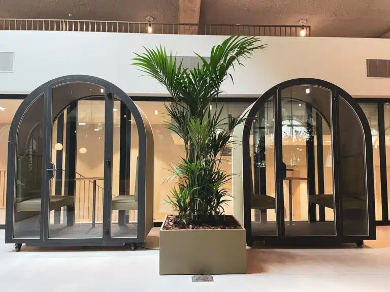 Kantoorplanten bij Westbeat Amsterdam door Bloei Interieurbeplanting.