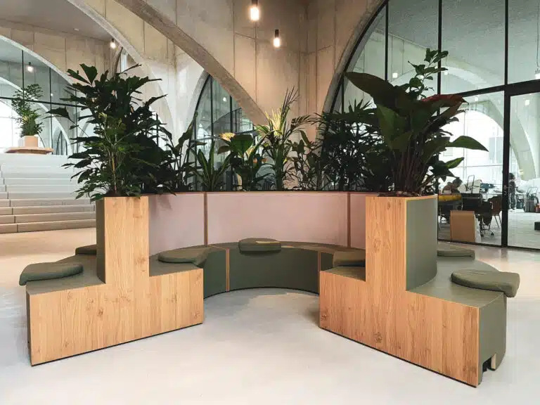 Planten op kantoor bij Westbeat Amsterdam door Bloei Interieurbeplanting.