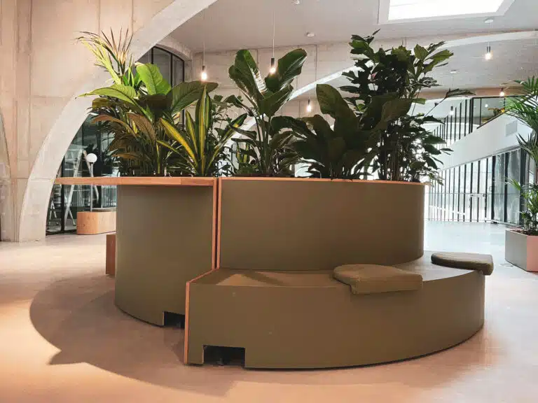 Planten op kantoor bij Westbeat Amsterdam door Bloei.
