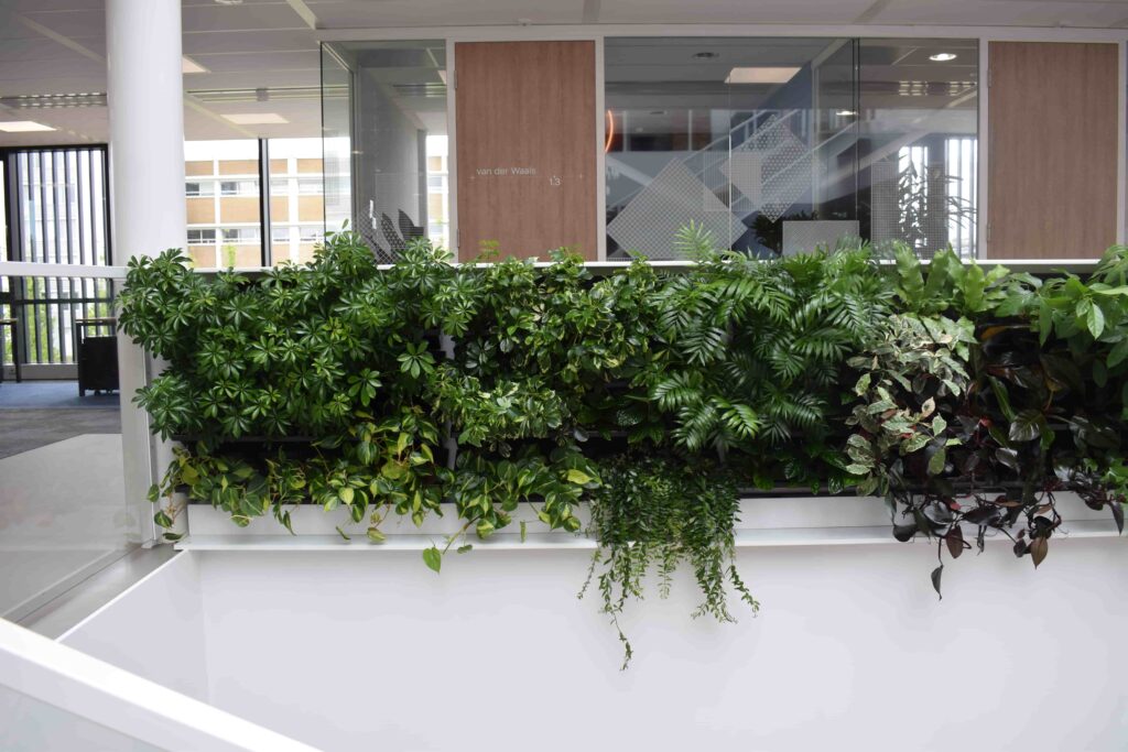 Living wall bij NTS Group Nijmegen door Bloei Interieurbeplanting.