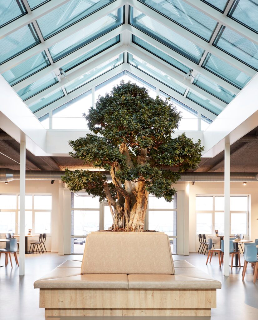 Interieurbeplanting in samenwerking met Bloei.