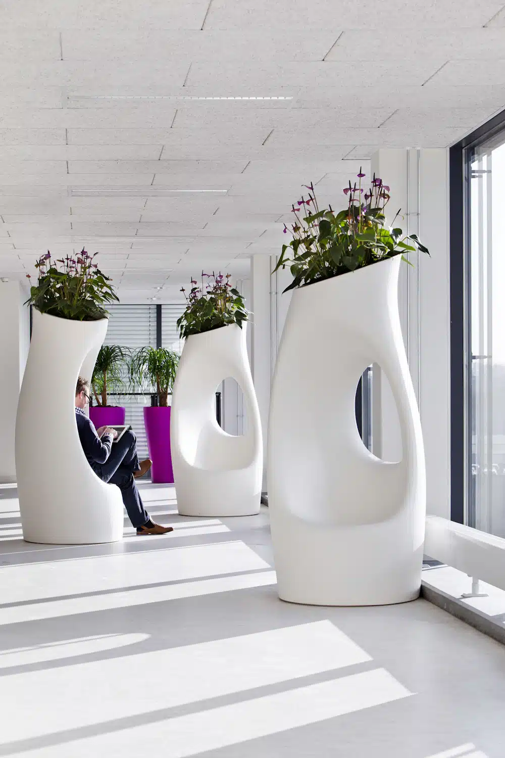 Kantoorplanten in het Maxima Medisch Centrum ontworpen door Bloei Interieurbeplanting.