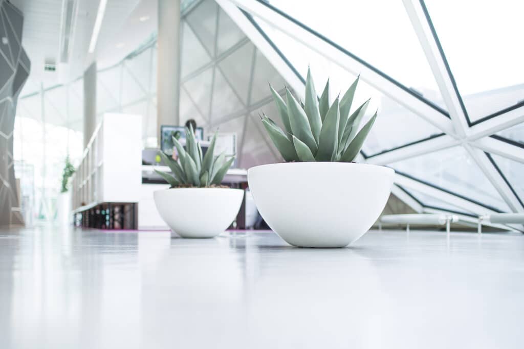 Kantoorplanten voor Happy Cactus door Bloei.