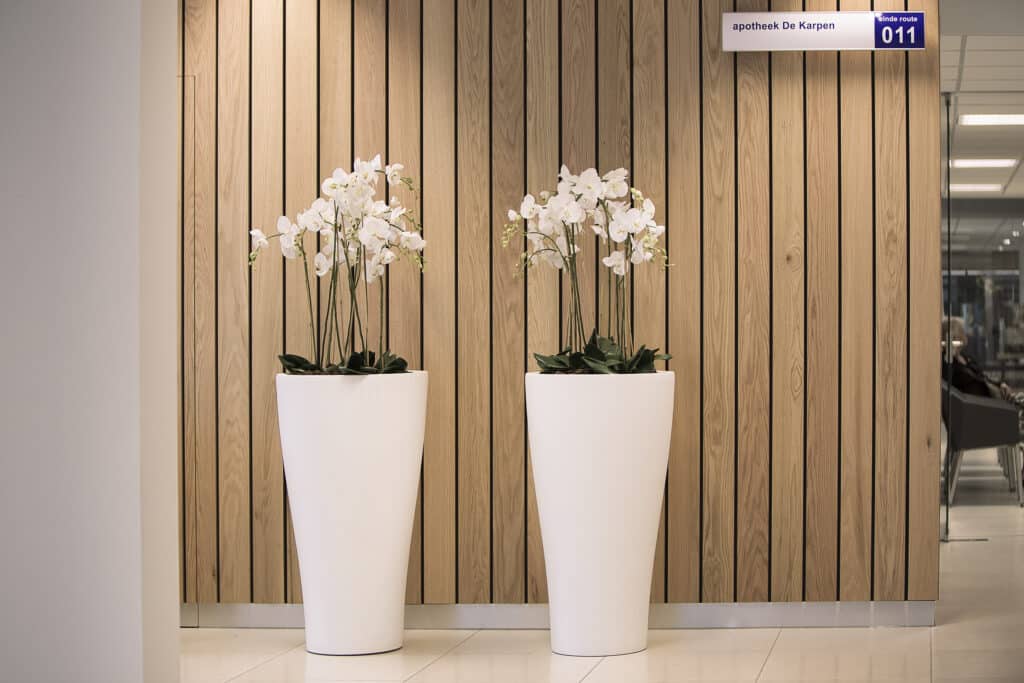 Planten voor Maxima Medisch Centrum door Bloei Interieurbeplanting.
