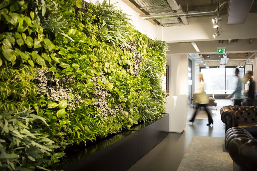 Living wall door Bloei Interieurbeplanting.