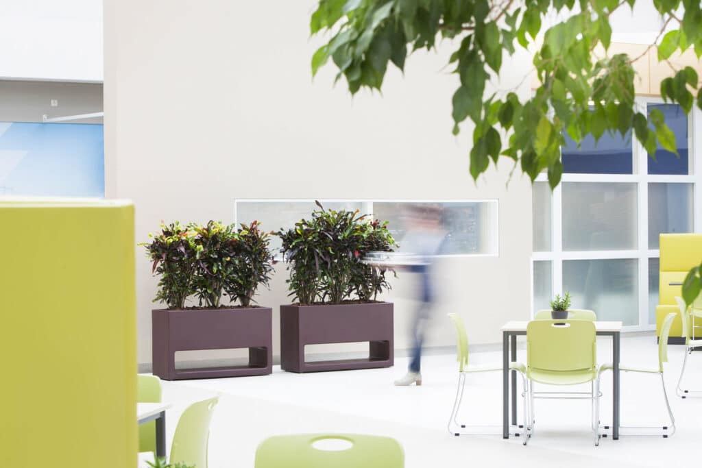 Planten voor kantoor in het CWZ in Nijmegen door Bloei.