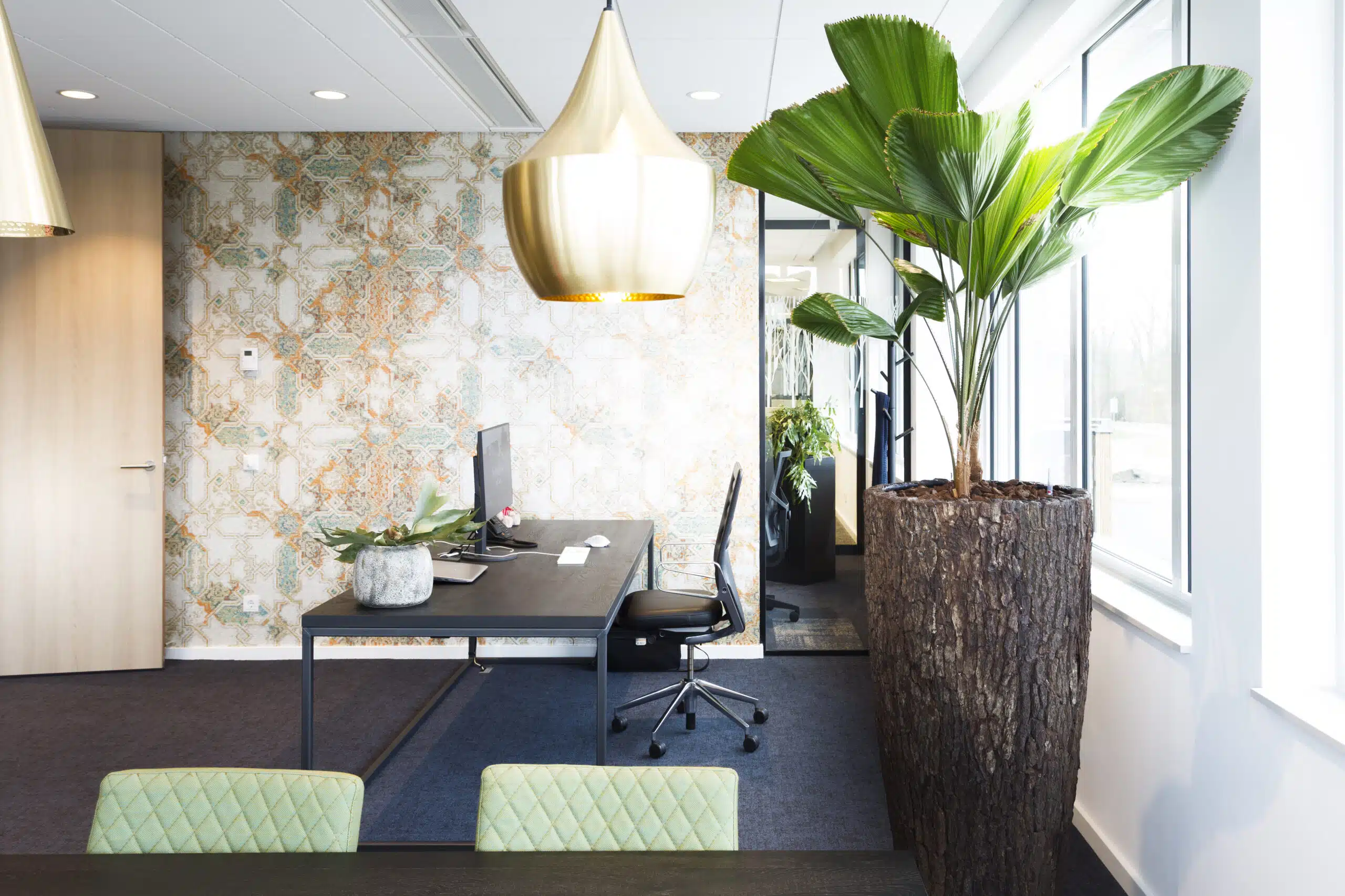 Planten op kantoor door Bloei Interieurbeplanting.