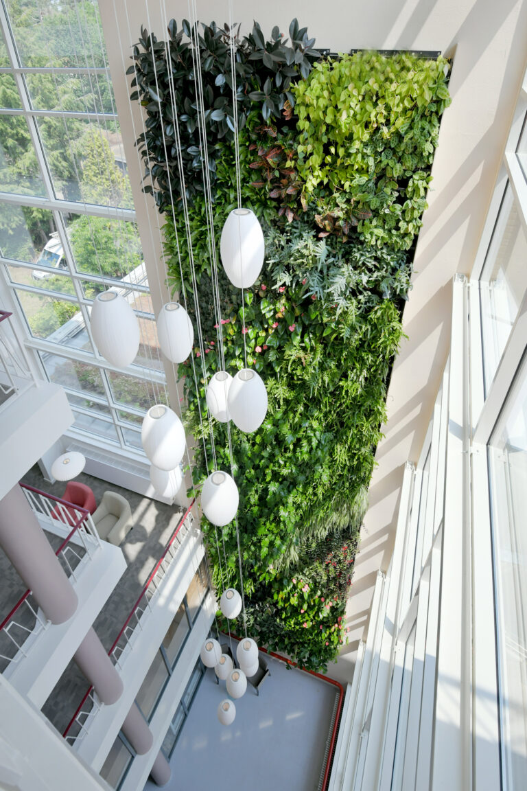 Living walls en groene plantenwanden.