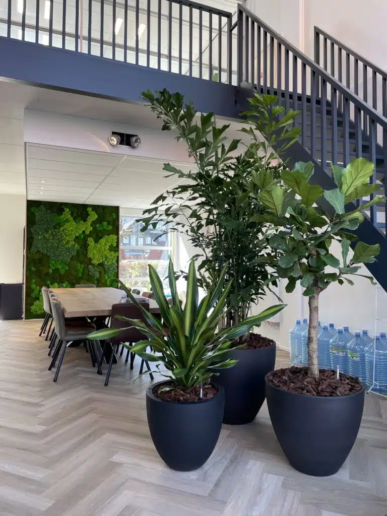 Interieurbeplanting met moswanden door Bloei.