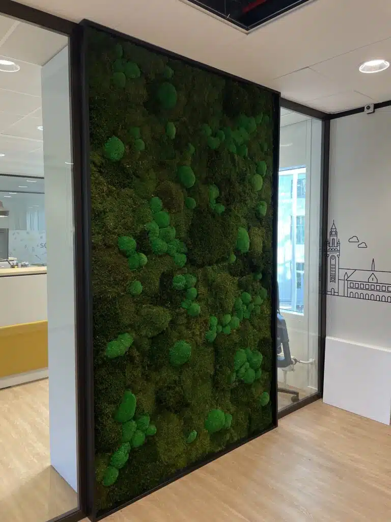 Moswand door Bloei Interieurbeplanting