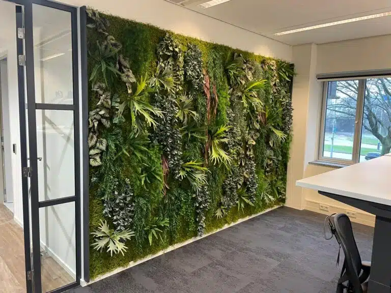 Moswand voor kantoor ontworpen door Bloei Interieurbeplanting.