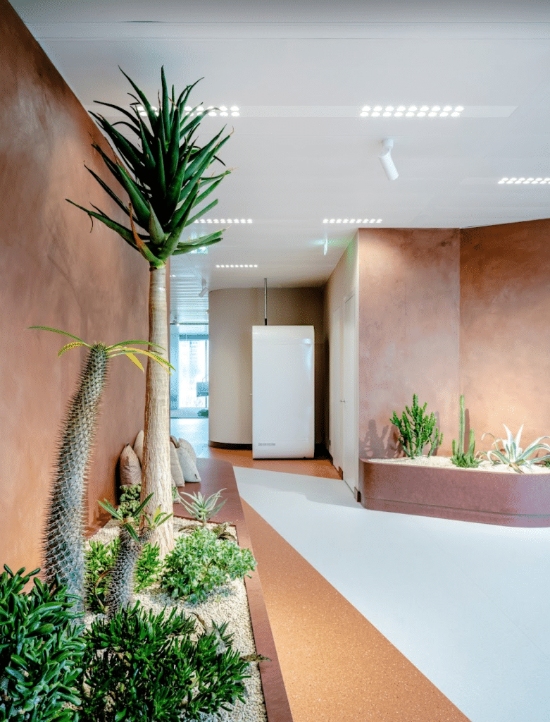 Planten op kantoor Jetbrains Amsterdam.