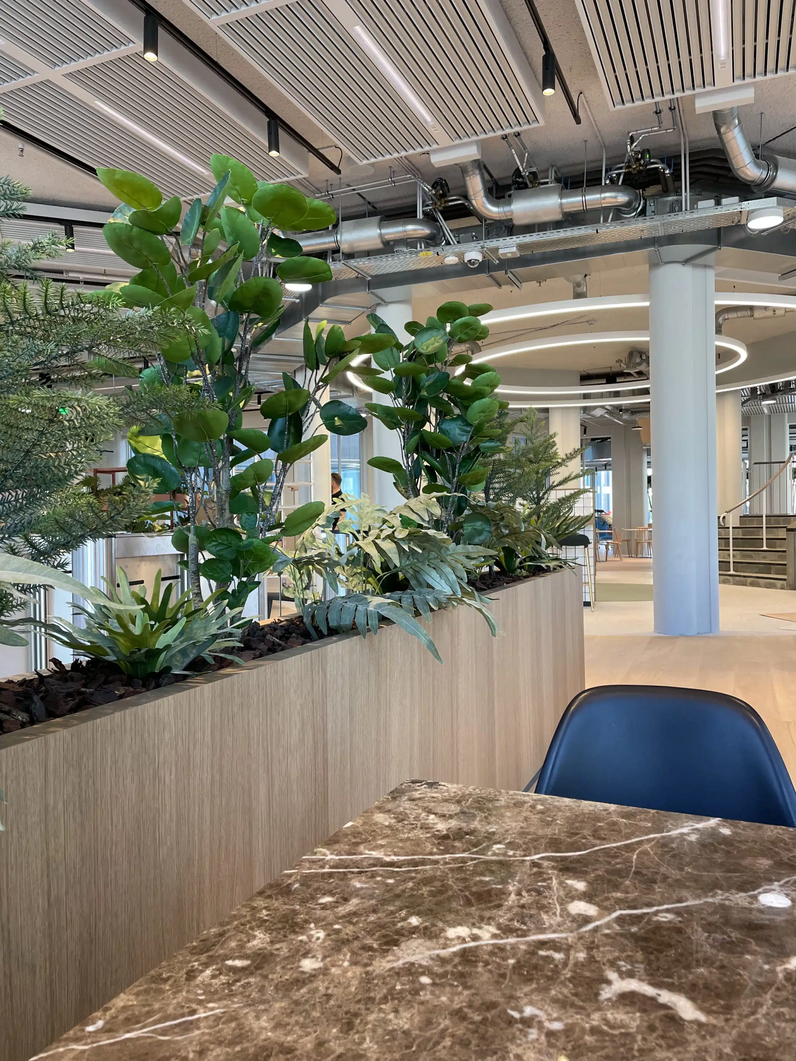 Interieurbeplanting bij Uber Amsterdam op de Zuidas.