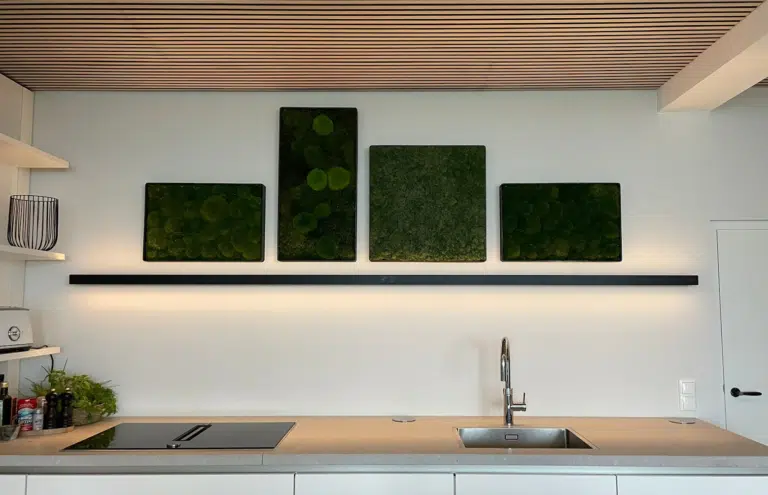 Mosschilderijen door Bloei Interieurbeplanting.