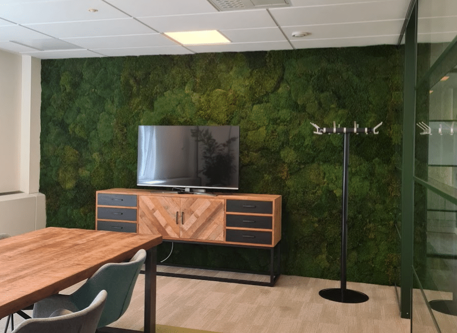 Moswand door Bloei Interieurbeplanting.