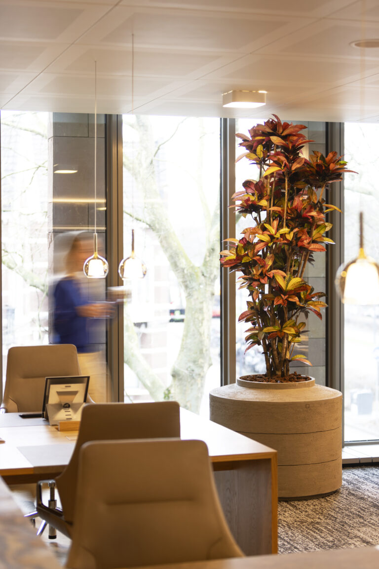 Planten op kantoor in Den Bosch