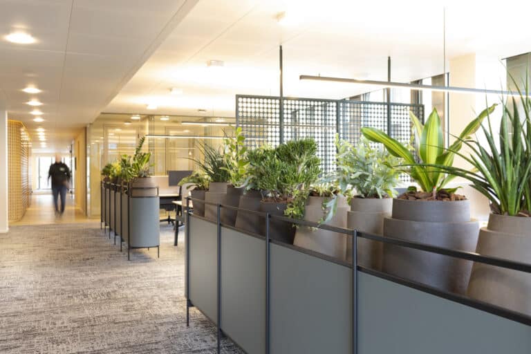 Groene plantenwanden op kantoor door Bloei Interieurbeplanting