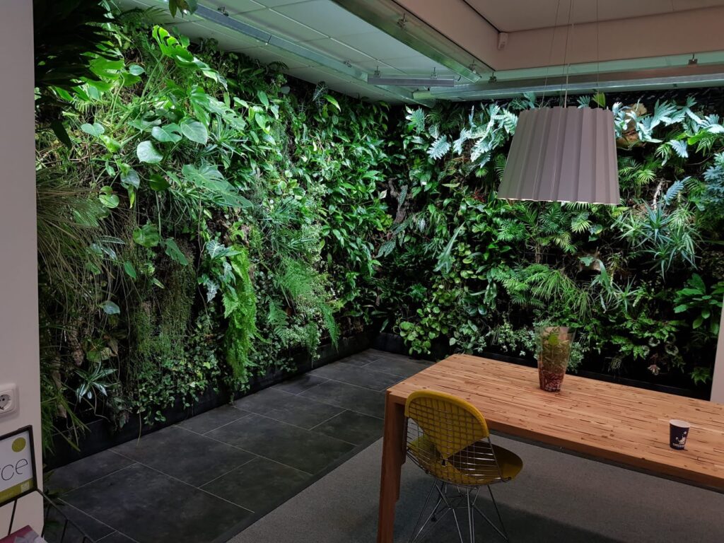 Groene plantenwand gemaakt door Bloei Interieurbeplanting.