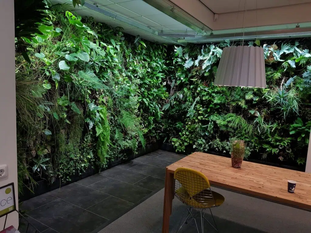 Groene plantenwand gemaakt door Bloei Interieurbeplanting.