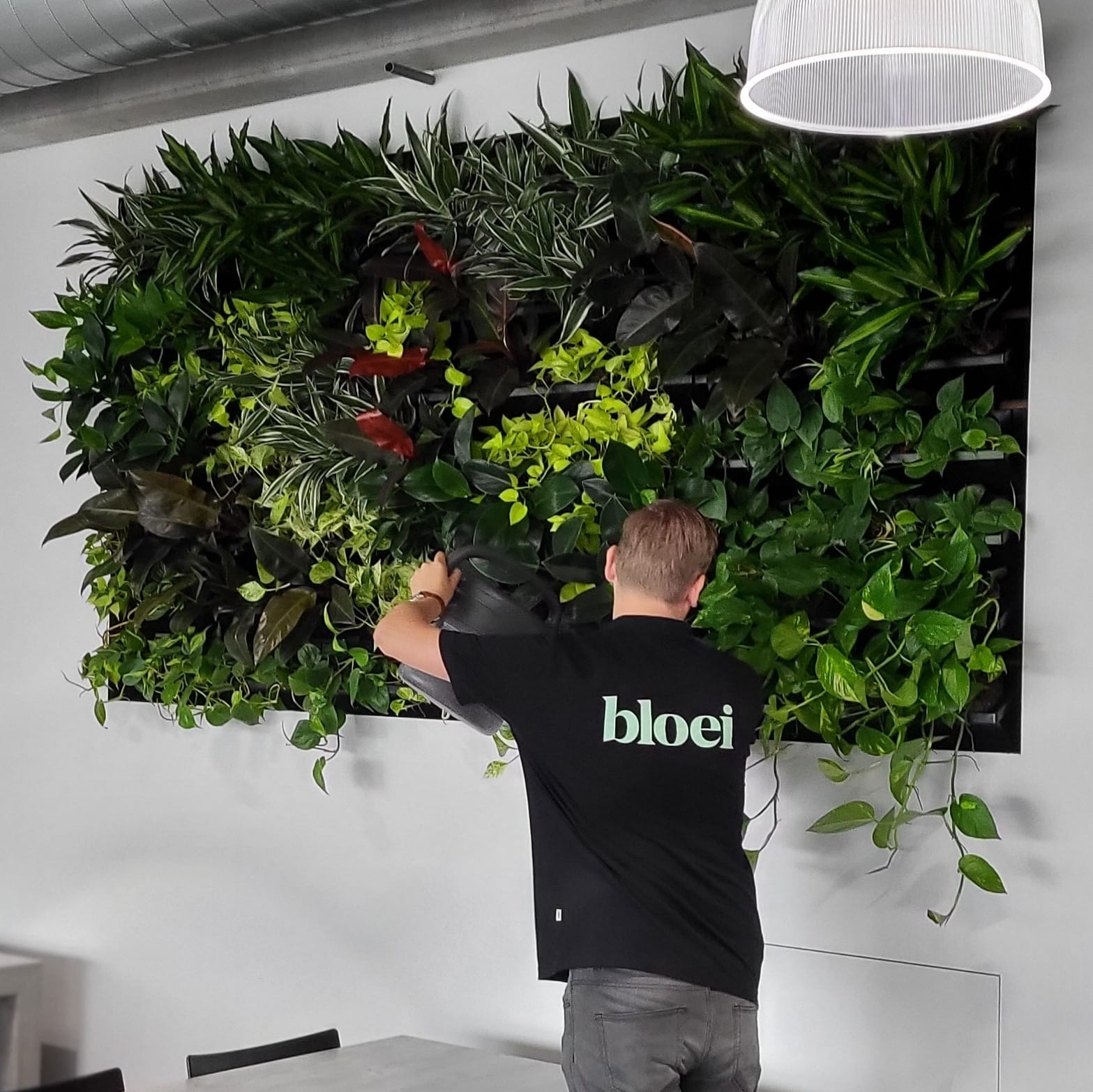 Groene plantenwand op kantoor