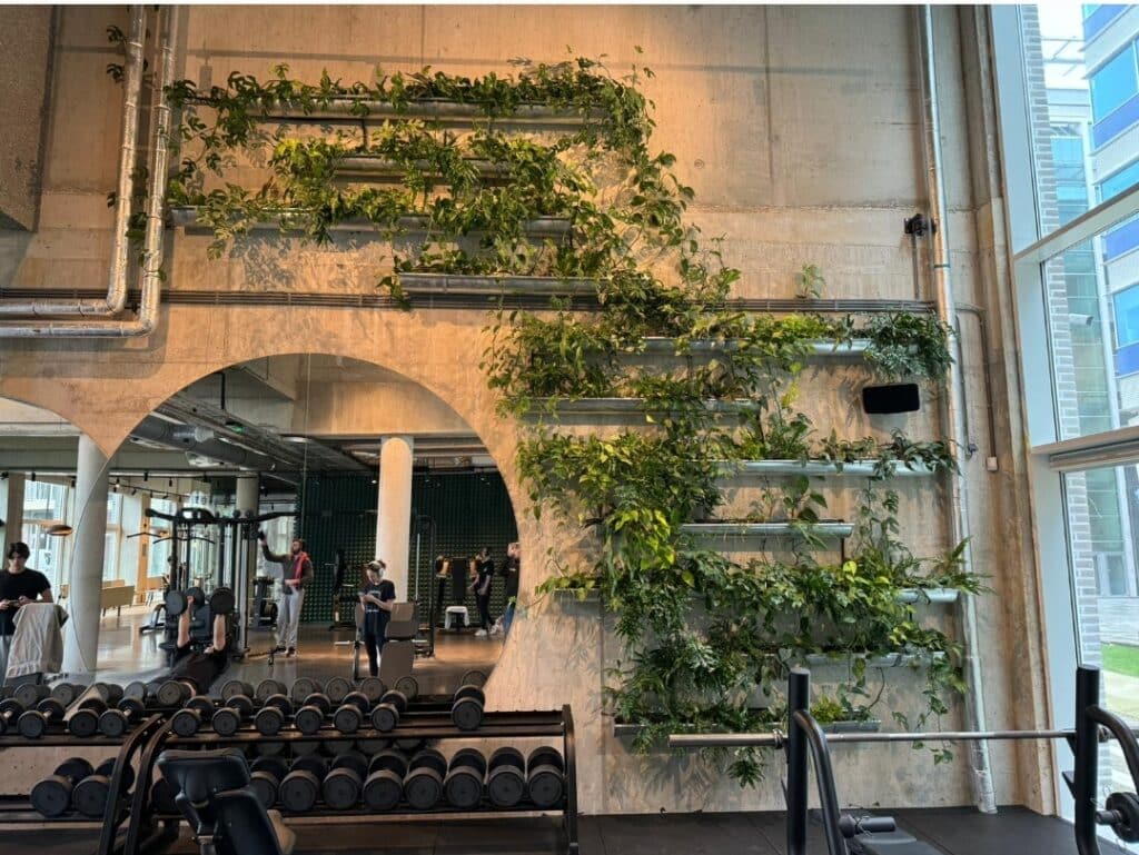 Verticale tuin geïnstalleerd door Bloei Interieurbeplanting.