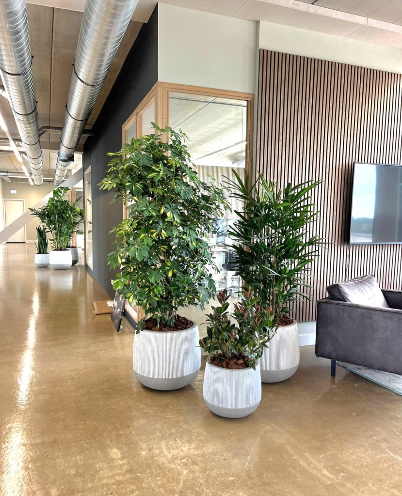 Plantenbakken bij Yourtechclub Amsterdam