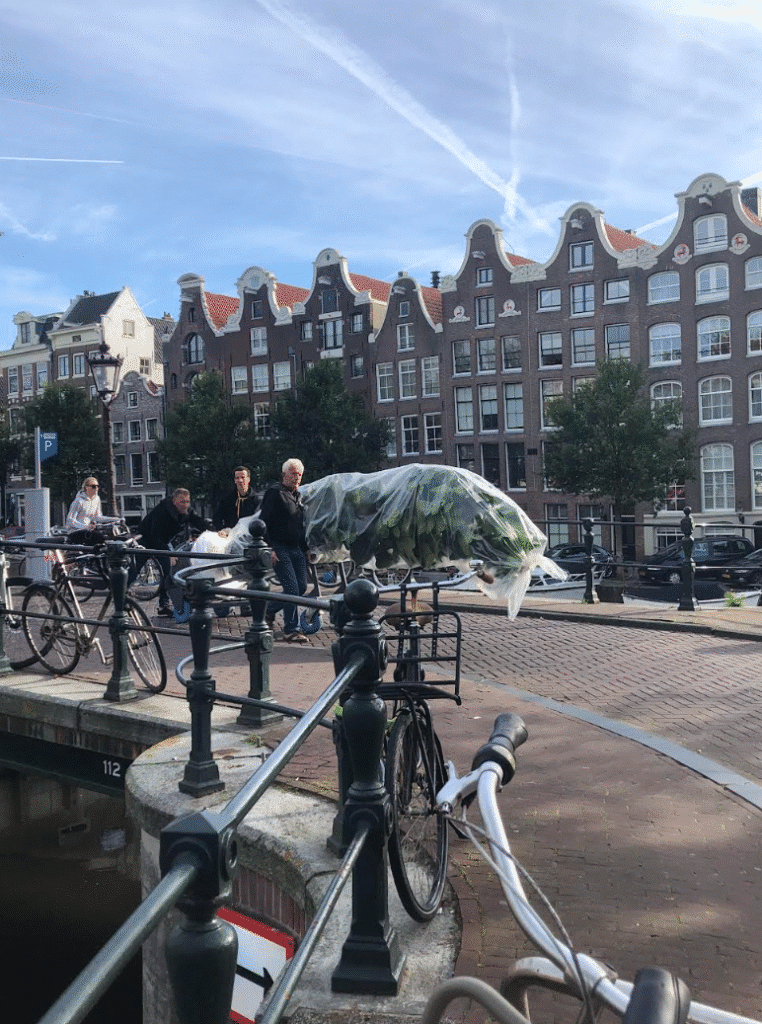 Bloei_interieurbeplaning_Amsterdam