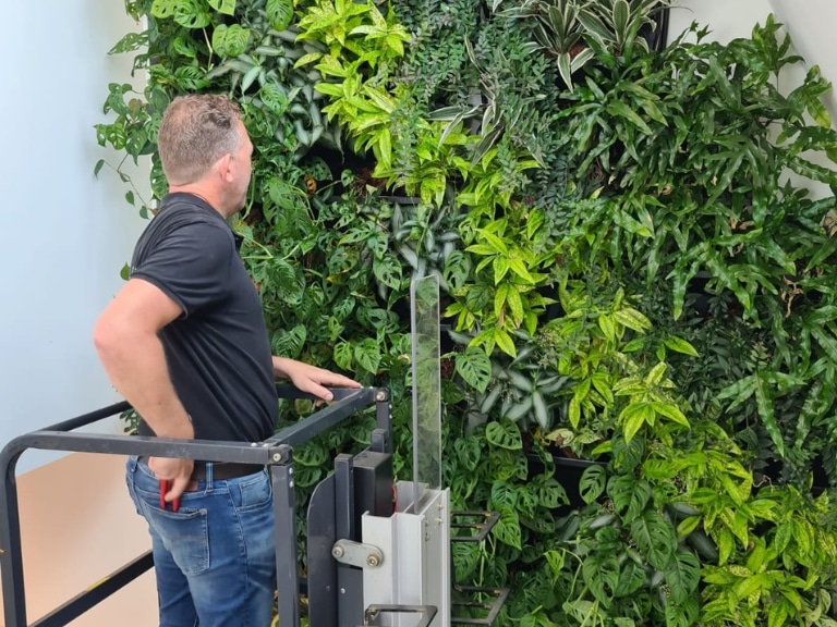 Bloei Interieurbeplanting