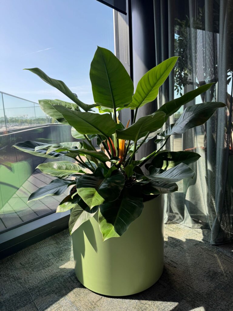 Kantoorbeplanting bij Kearney Perlab Amsterdam met duurzame materialen en natuurlijke uitstraling.