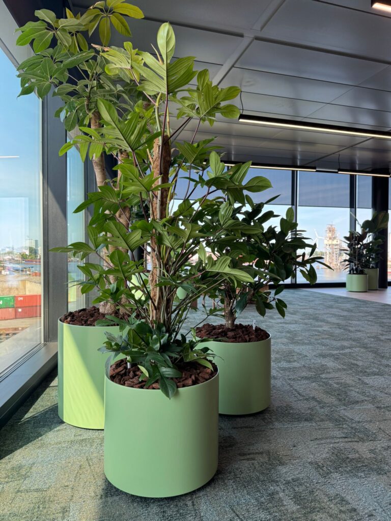 Interieurbeplanting door Bloei met grote tropische planten in lichtgroene plantenbakken bij Kearney Perlab Amsterdam.