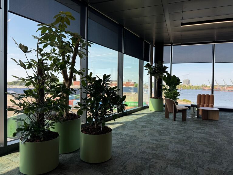 Duurzame kantoorinrichting met planten en lichtgroene plantenbakken door Bloei Interieurbeplanting.