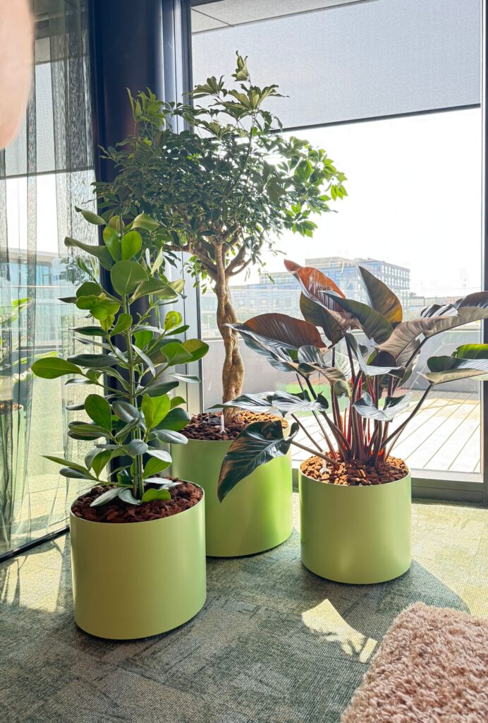 Ontspanningsruimte bij Kearney Perlab met natuurlijke beplanting en warme bruin- en groentinten.